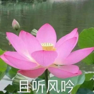 安徽谷器CEO石龙荣获合肥市瑶海区“最美科...